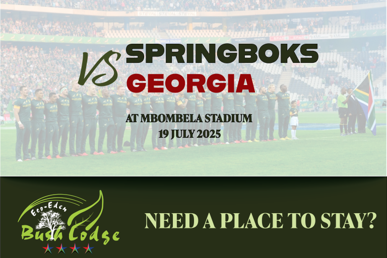 springboks vs georgia